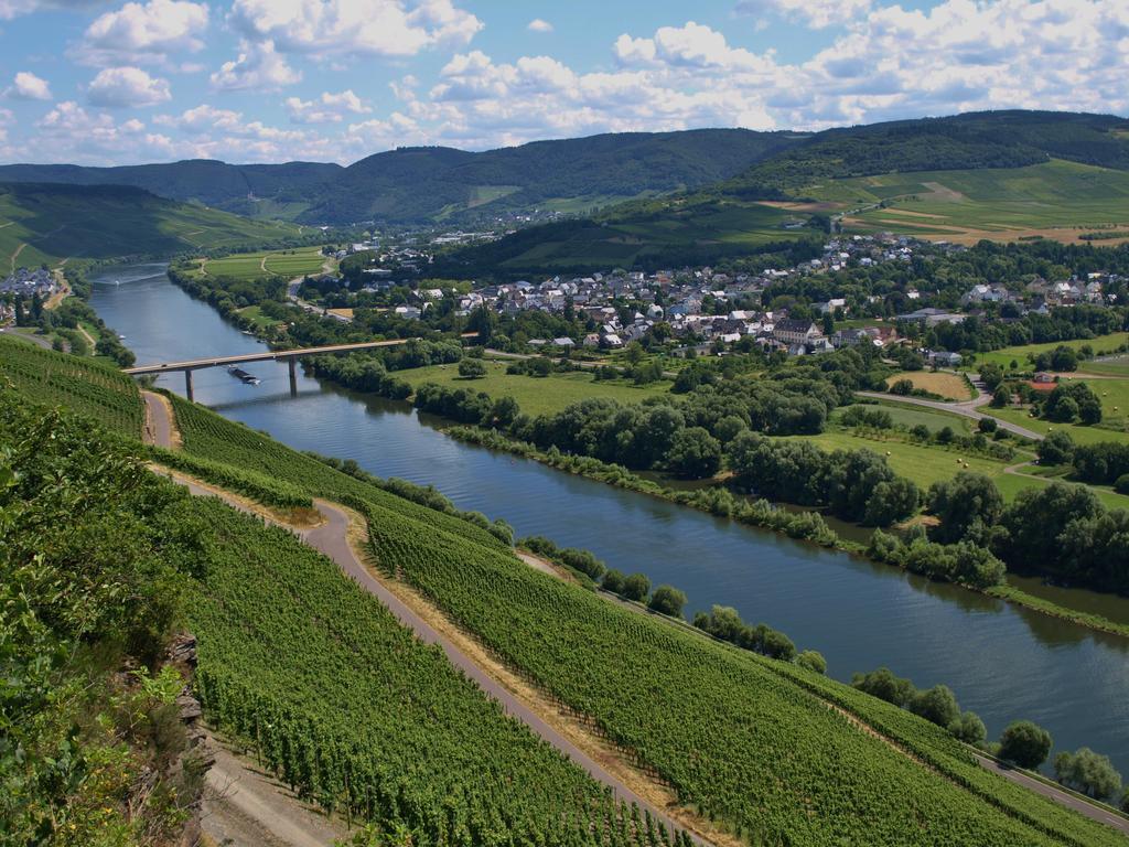 Ferienhaus N° 14 Mulheim an der Mosel Exterior photo